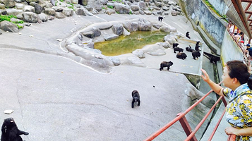Okuhida Bear Park