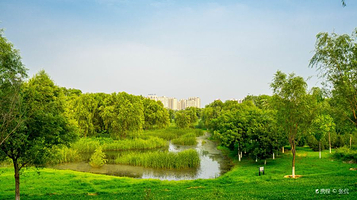 白浮泉公园森林牧场