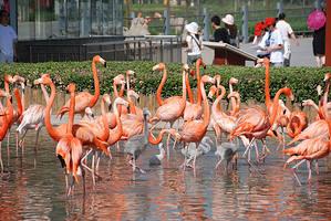 石家庄市动物园