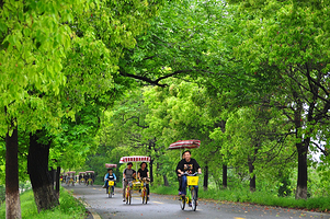 海宁盐官旅游度假区