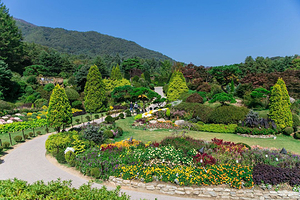 晨静园艺树木园