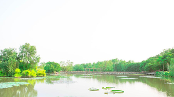 南沙湿地寻梦园