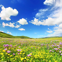 俄么塘花海景区