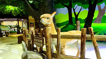 格林·噜咔奇幻动物王国