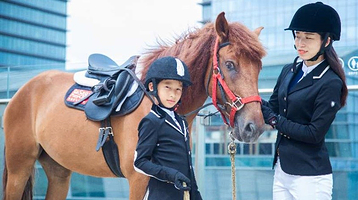 世骑家马术(上海元祖校区）