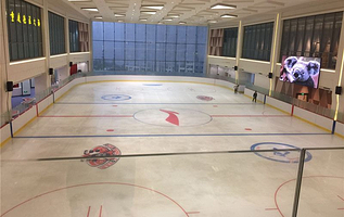 全明星滑冰俱乐部(龙湖狮山天街店)