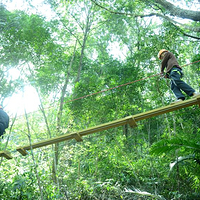 新丰江国家森林公园桂山风景区