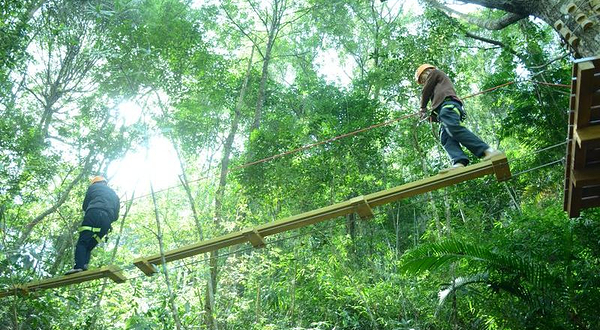 新丰江国家森林公园桂山风景区