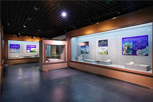 石文化博物馆(建设路店)