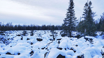 黑龙江伊春红星火山地质公园