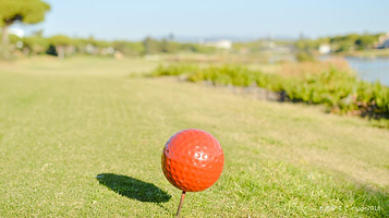 龙岗公众高尔夫球场