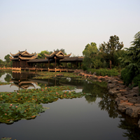 铜陵永泉农庄度假村-茶园