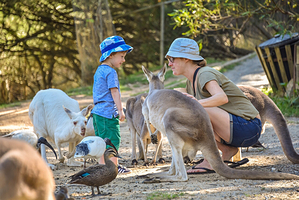 阿德莱德动物园