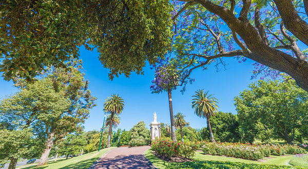 墨尔本皇家植物园