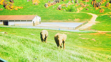 Cabarceno Nature Park