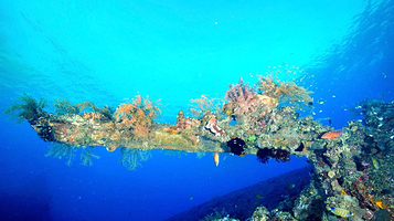 “自由号”沉船