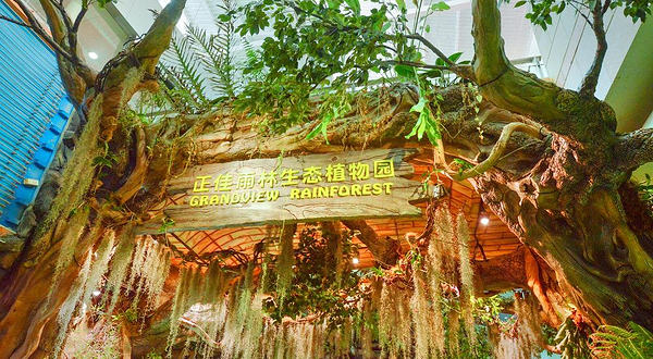 正佳雨林生态植物园