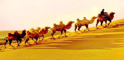 七星湖沙漠生态旅游区