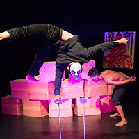 暹粒马戏团表演