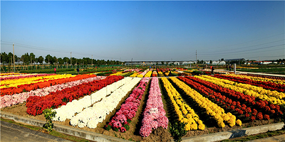 南京湖熟现代农业示范区