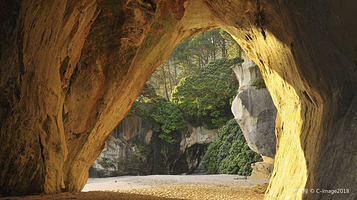 蒂旺格努伊阿黑（教堂湾）海洋保护区