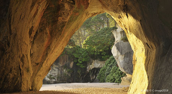 蒂旺格努伊阿黑(教堂湾)海洋保护区