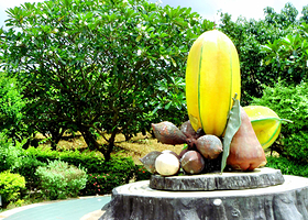 泰国热带水果园