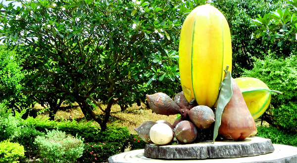 泰国热带水果园