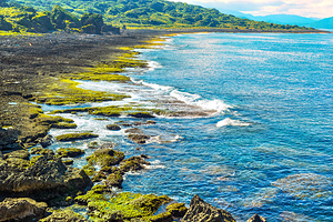 龙坑生态保护区