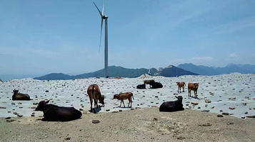 瑞安双溪寨漂流