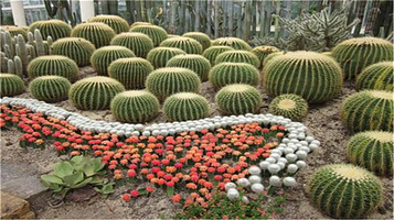 都市现代农业园区