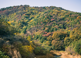 百望山森林公园
