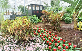 锦绣大地观光休闲旅游区