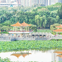 洪湖公园
