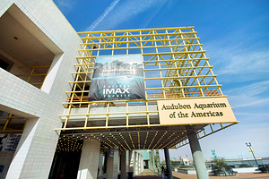 奥杜邦美洲水族馆