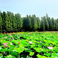 清水潭旅游度假区