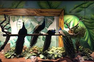 天津zoonly动物主题公园