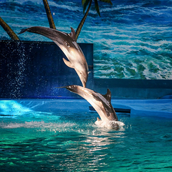 赣州极地海洋世界