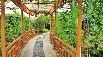 水镜湖休闲度假旅游区