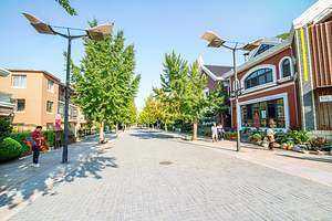 南山旅游风情一条街