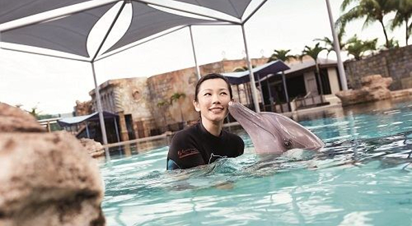 海豚园