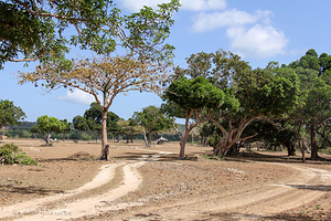 巴拉望野生生物救助和保护中心