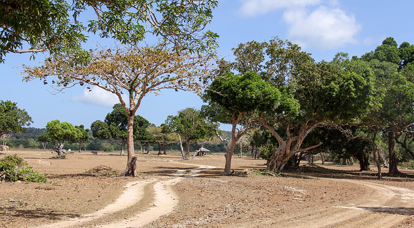 巴拉望野生生物救助和保护中心
