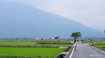 宜兰冬山伯朗大道