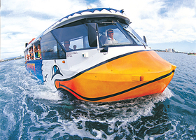 黄金海岸天堂大水鸭