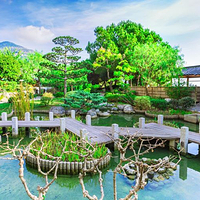 摩纳哥日本花园