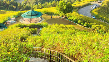 长兴花溪谷景区