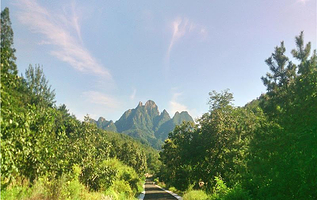 蓬莱艾山国家森林公园