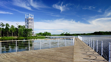 乌苏里湿地千岛林风景区
