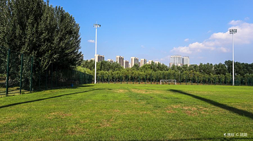 长白岛足球主题公园